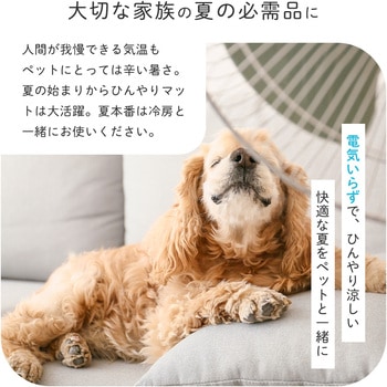 ペットのためのひんやりマット 45×60 アイメディア