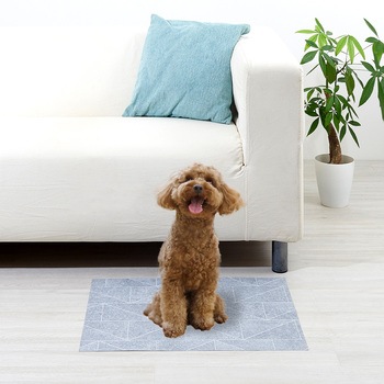 ペットのためのひんやりマット 45×60 アイメディア