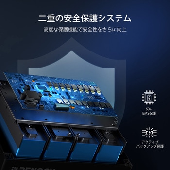 リン酸鉄リチウムイオンバッテリー RENOGY JAPAN
