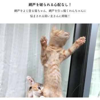 高機能網戸 明和グラビア