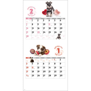 【名入れ】DOG・DOG・DOG ミシン目入り レスタス