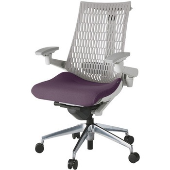 アクトチェア エラストマーバック 可動肘 ハンガー ランバーサポート付 アルミミラー脚 PS張地 ナイロンキャスター<配送時組立サービス付> イトーキ