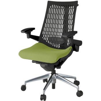 アクトチェア エラストマーバック 可動肘 ハンガー ランバーサポート付 アルミミラー脚 PS張地 ナイロンキャスター<配送時組立サービス付> イトーキ