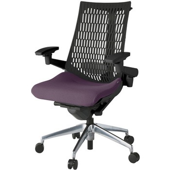 アクトチェア エラストマーバック 可動肘 ハンガー ランバーサポート付 アルミミラー脚 PS張地 ナイロンキャスター<配送時組立サービス付> イトーキ