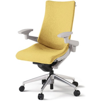 アクトチェア 可動肘 ハンガー ランバーサポート付 アルミミラー脚 クロスSA ナイロンキャスター<配送時組立サービス付> イトーキ