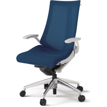 アクトチェア 固定肘 ハンガー ランバーサポートなし アルミミラー脚 メッシュJV ナイロンキャスター<配送時組立サービス付> - イトーキ