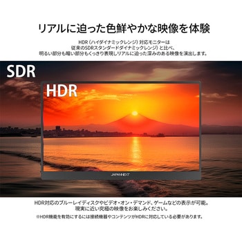 有機ELディスプレイ 13.3型/1920×1080/miniHDMI×1、USB-C×2/ブラック/スピーカー有/2年保証 JAPANNEXT