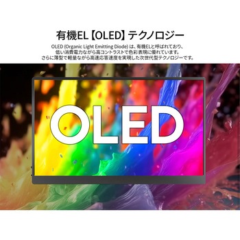 有機ELディスプレイ 13.3型/1920×1080/miniHDMI×1、USB-C×2/ブラック/スピーカー有/2年保証 JAPANNEXT