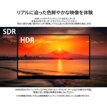 有機ELディスプレイ 13.3型/1920×1080/miniHDMI×1、USB-C×2/ブラック/スピーカー有/2年保証 JAPANNEXT
