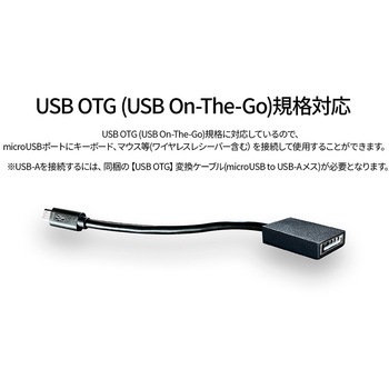 有機ELディスプレイ 13.3型/1920×1080/miniHDMI×1、USB-C×2/ブラック/スピーカー有/2年保証 JAPANNEXT