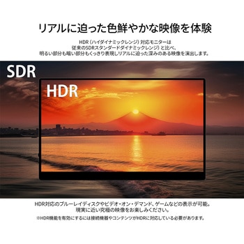 液晶ディスプレイ 17.3型/1920×1080/miniHDMI×1、USB-C×2/ブラック/スピーカー有/2年保証 JAPANNEXT