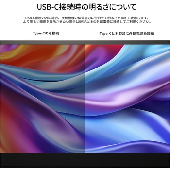液晶ディスプレイ 17.3型/1920×1080/miniHDMI×1、USB-C×2/ブラック/スピーカー有/2年保証 JAPANNEXT