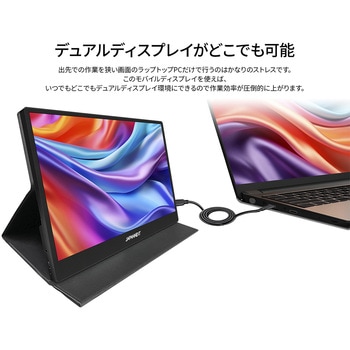 液晶ディスプレイ 17.3型/1920×1080/miniHDMI×1、USB-C×2/ブラック/スピーカー有/2年保証 JAPANNEXT