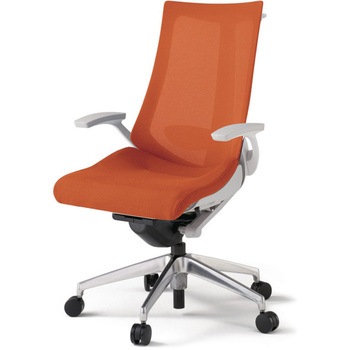 アクトチェア 固定肘 ハンガー ランバーサポート付 アルミミラー脚 メッシュJV ウレタンキャスター<配送時組立サービス付> - イトーキ