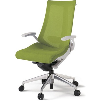 アクトチェア 固定肘 ハンガー ランバーサポート付 アルミミラー脚 メッシュJV ウレタンキャスター<配送時組立サービス付> - イトーキ