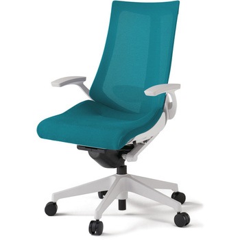 アクトチェア 固定肘 ランバーサポート付 樹脂脚 メッシュJV ナイロンキャスター<配送時組立サービス付> イトーキ