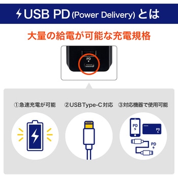 USBタップPD20W 急速充電 雷ガード付 Type-Cポート ELPA
