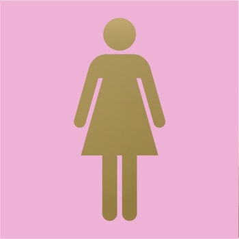 キャリエーター ステンレスチタンゴールド 女性マーク 光