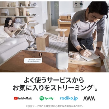 Google Nest Audio Google