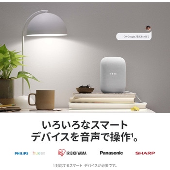Google Nest Audio Google