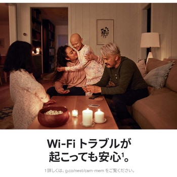 Google Nest Cam Google