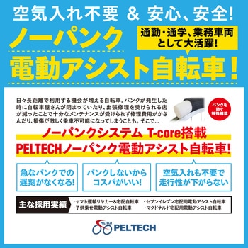 20型ノーパンク電動アシスト折り畳み自転車(8Ah) PELTECH(ペルテック)