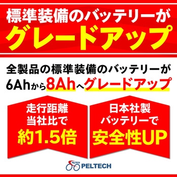 24/20型電動アシスト内装3段(8Ah) PELTECH(ペルテック)