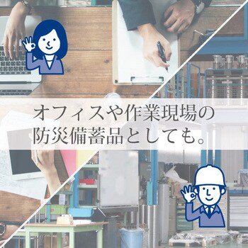 ふわ暖Light 防災寝袋封筒型-6℃ Bears Rock