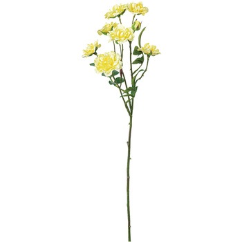 FA -7149 �t�������A���[�Y�X�v���[ ���l�f�B�X�v���C�~���[�W�A�� 82679714