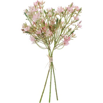 FB -2605 �W�v�\�[�o���h�� ���l�f�B�X�v���C�~���[�W�A�� 82680247