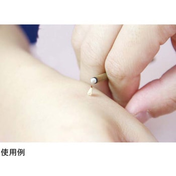 赤箱日本一黄金山 10g入 - 山正