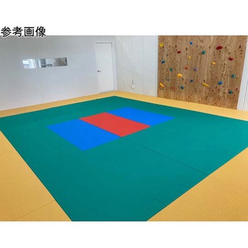 スポーツ畳マット RIO TBシリーズ KLASS(クラス/極東産機)