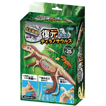 化石発掘復元キット ティラノサウルス アーテック[学校教材・教育玩具]