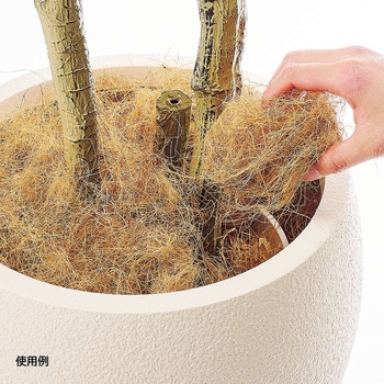 ココファイバー100g ストア・エキスプレス