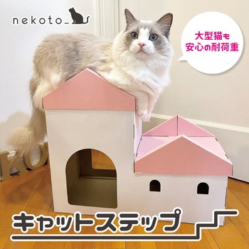 キャットステップ - バンドー