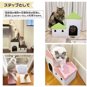 キャットステップ - バンドー