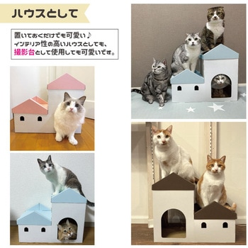 キャットステップ - バンドー