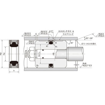 SPGW 120 105 12 pbL SPGW^ NOK a105mmOa120mm 83204056