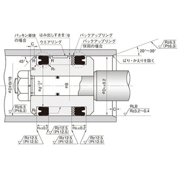 パッキン(フッソ) USH型 NOK