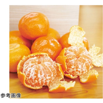 みかん塩飴 1kg 約320粒 ふみこ農園