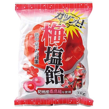 375761 ガツンと!梅塩飴 1kg 1袋 イワガミエンタープライズ