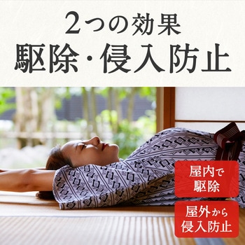 どこでもつかえるアースノーマット アース製薬