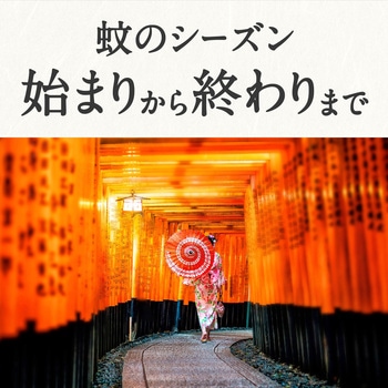 どこでもつかえるアースノーマット アース製薬