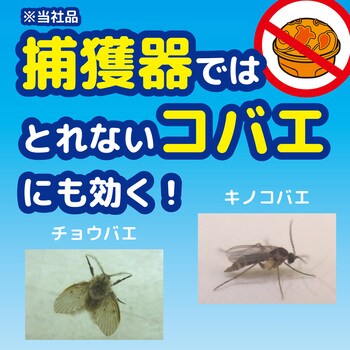 コバエがいなくなるスプレー 金鳥 Kincho 殺虫スプレー 通販モノタロウ