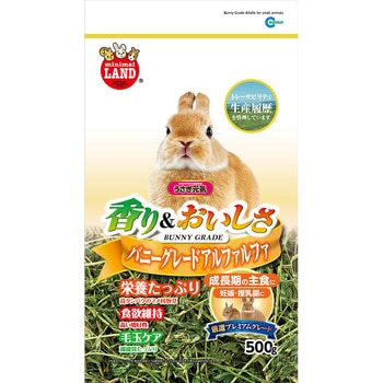 うさぎ元気 バニーグレードアルファルファ minimal LAND