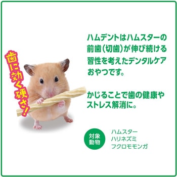 ハムデント アップル ジェックス