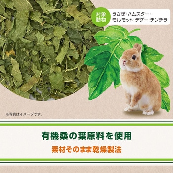 ヘルシーレシピ 桑の葉ぱりむしゃ ジェックス