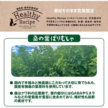 ヘルシーレシピ 桑の葉ぱりむしゃ ジェックス