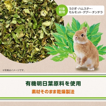 ヘルシーレシピ 明日葉ぱりむしゃ ジェックス