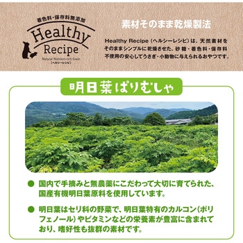 ヘルシーレシピ 明日葉ぱりむしゃ ジェックス